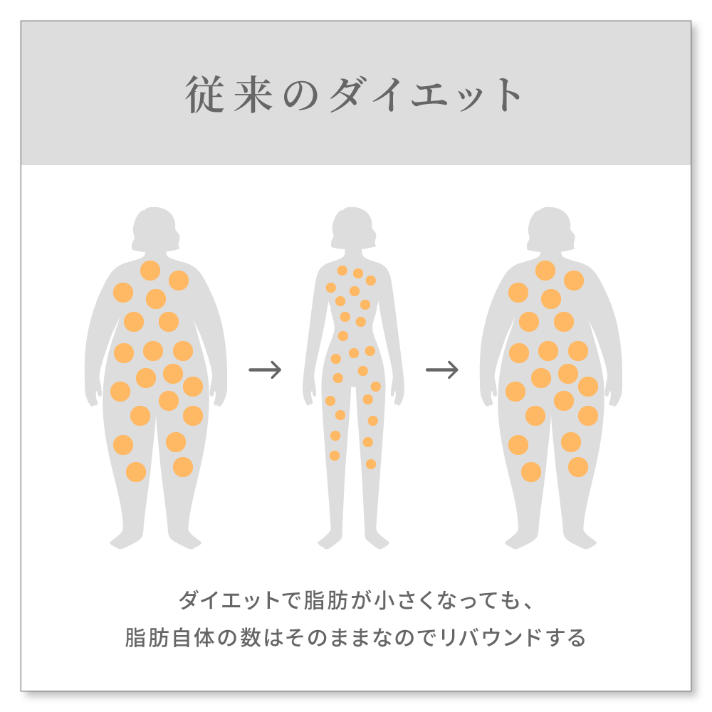 従来のダイエット