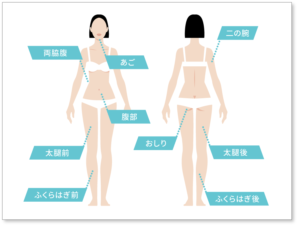適応部位の図